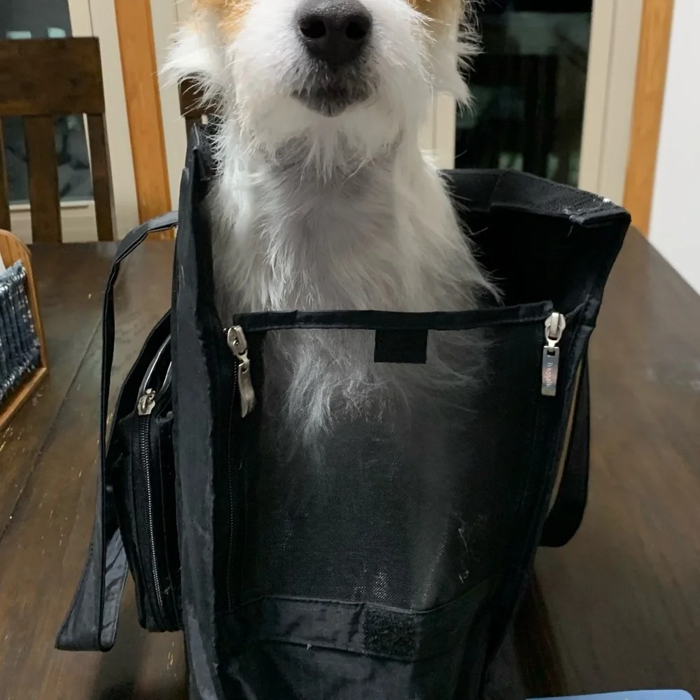 Baggelini Small Dog Carrying Bag